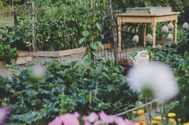 Get Gardening: 5 Tips for a Long-Lasting and Environmentally Friendly Growing Patch