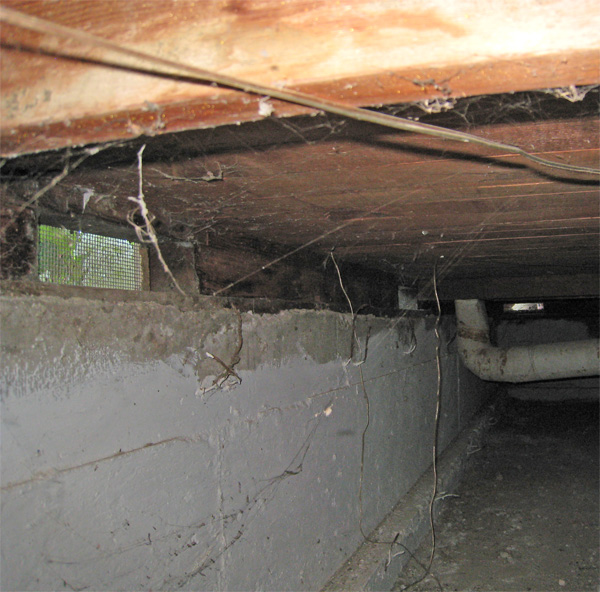 Why You Need to Pay Attention to Your Crawl Space