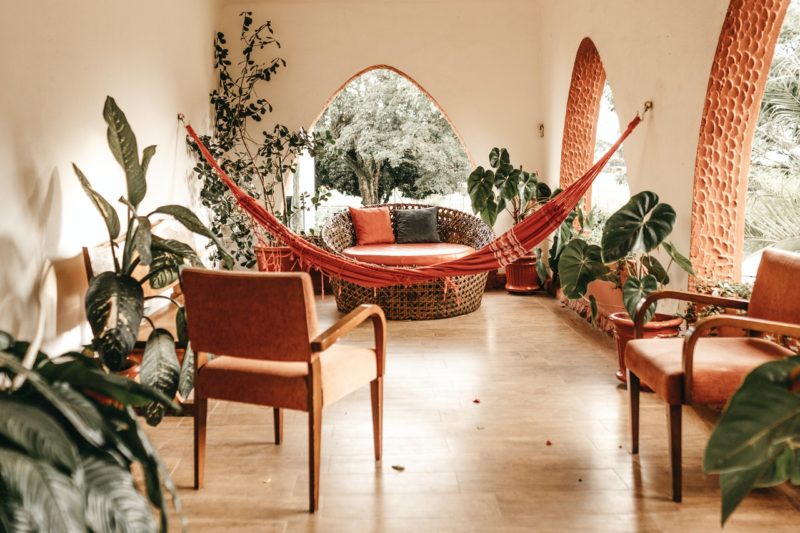6 Trendy Ways to Use Indoor Plants in Your Home Décor