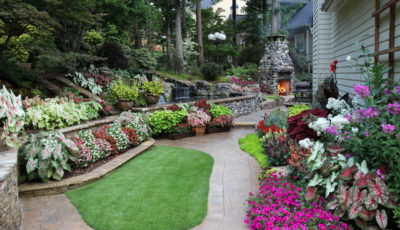 Need to Remodel Your Garden? 4 Trends to Consider