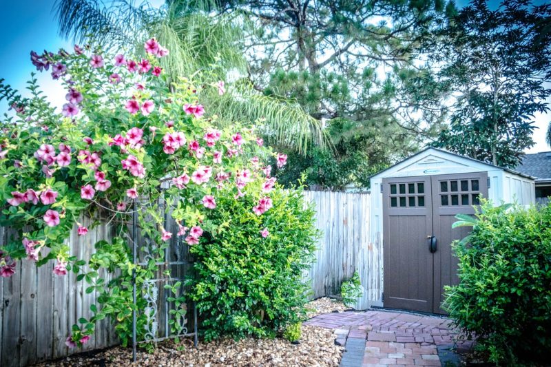 Best Garden Accessories for Your Backyard