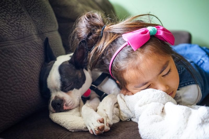 5 Steps to Choosing the Perfect Four-Legged Companion for Your Children