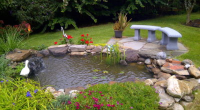 Benefits Of Constructing Artificial Lake In Your Property