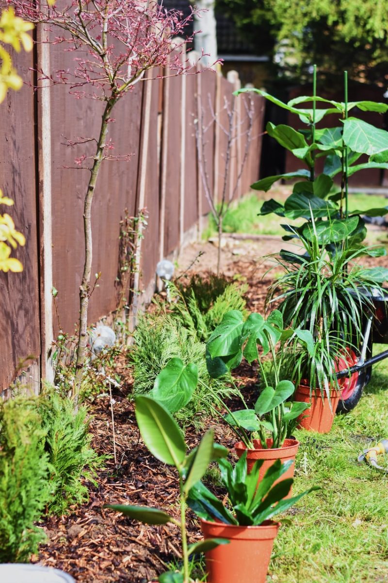 How to Have a Beautiful Yard on a Budget: Retirement Garden Ideas