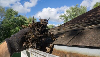 Caring for Your Home to Prevent Long-Term Damage