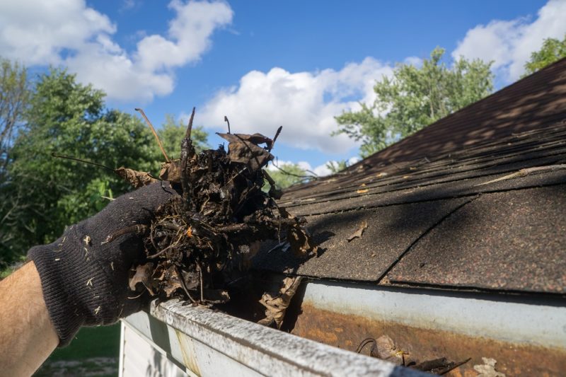 6 Tips For Cleaning Your Gutter This Season