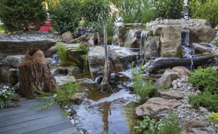 How To Build A Small Backyard Pond