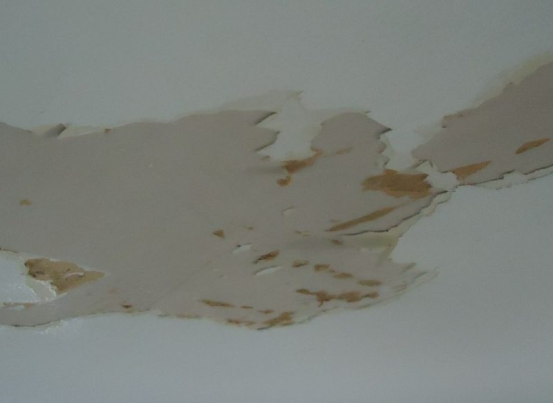 How to Tell if Your Pipes Are Leaking Where You Can't See Them