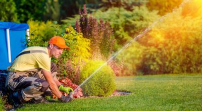 How Lawn Care May Impact The Value Of Your Property