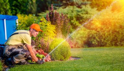 How Lawn Care May Impact The Value Of Your Property