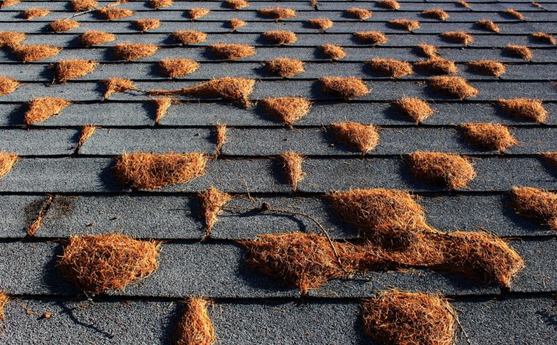 How to Tell if Your Roof Shingles Are Deteriorating or Damaged