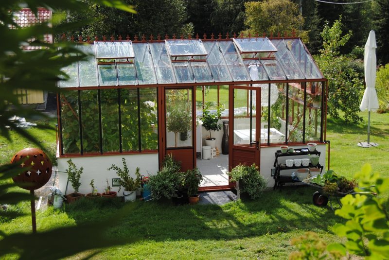 6 Reasons to Own a Greenhouse