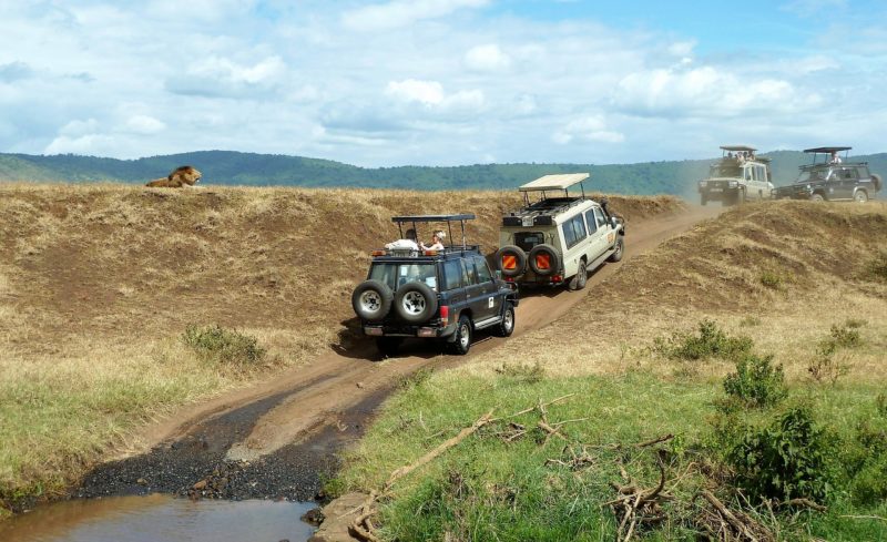 The Best Places to See in Tanzania
