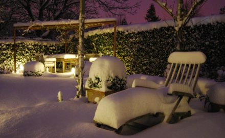 Winter Maintenance for your Garden & Outdoor Areas