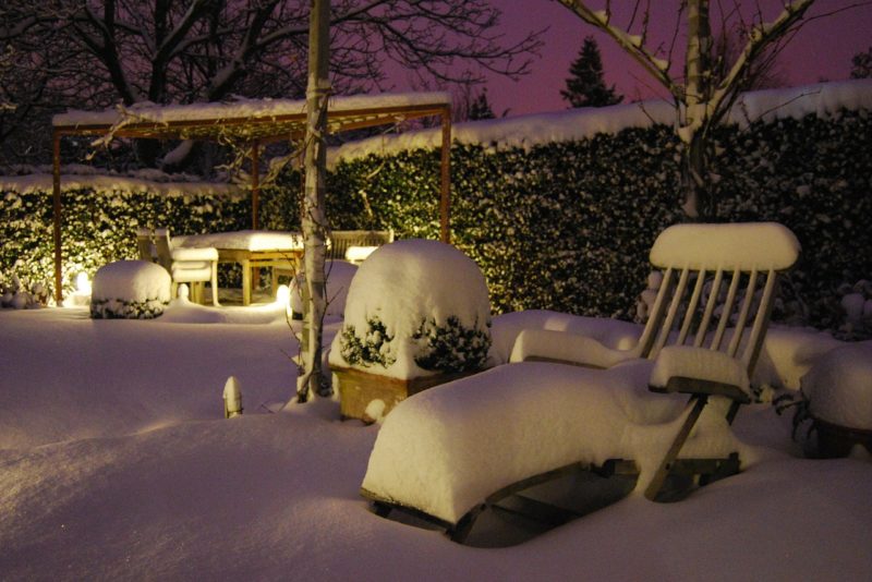 Winter Maintenance for your Garden & Outdoor Areas