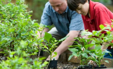 How to Start a Garden: 7 Easy Steps