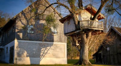 Preparations You Need to Make First When You’re Building a Treehouse