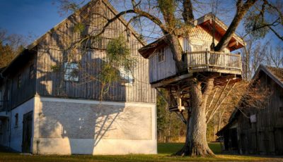 Preparations You Need to Make First When You’re Building a Treehouse