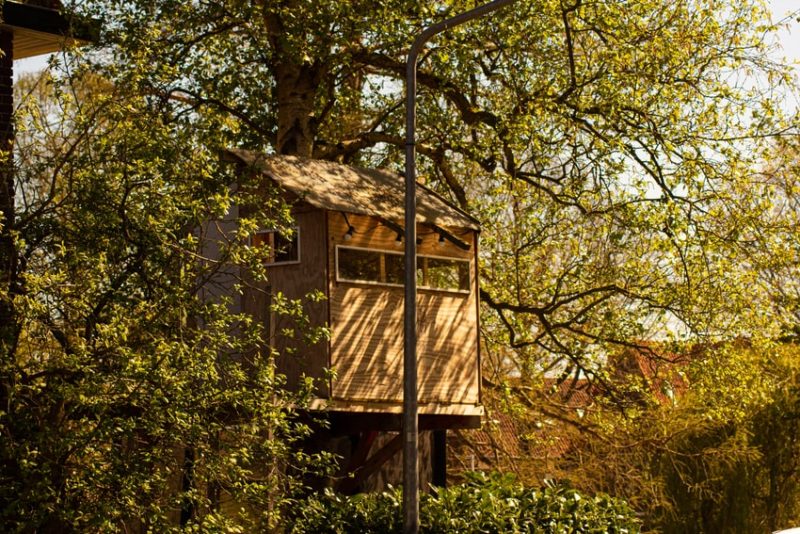 Preparations You Need to Make First When You're Building a Treehouse