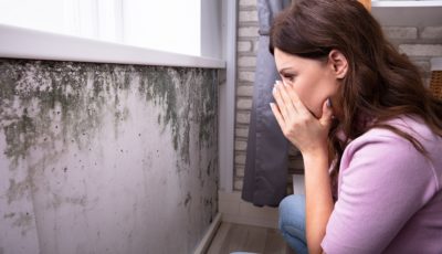 4 Reasons You Should Fix Mold Or Water Damage ASAP