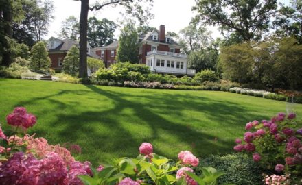 First Steps to Take for Getting Your Yard Ready for Spring