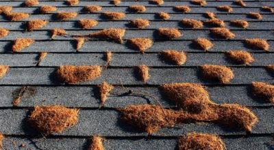 4 Signs It’s Time to Replace the Roof on Your Home
