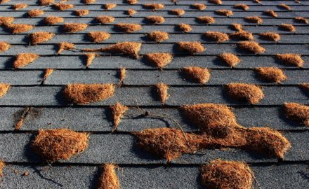 4 Signs It’s Time to Replace the Roof on Your Home