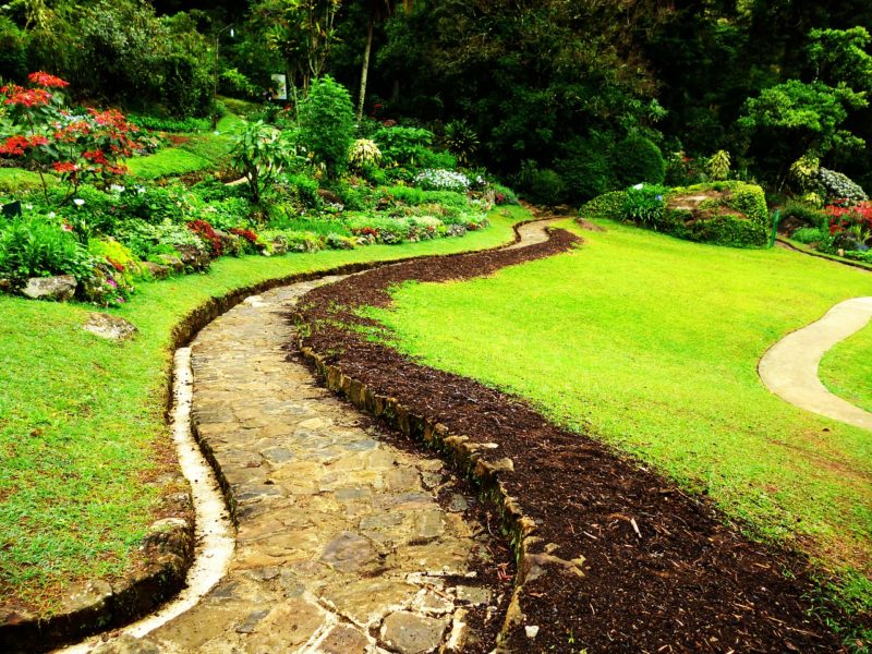 5 Fantastic Ideas for Landscaping a Greener and Brighter Lawn