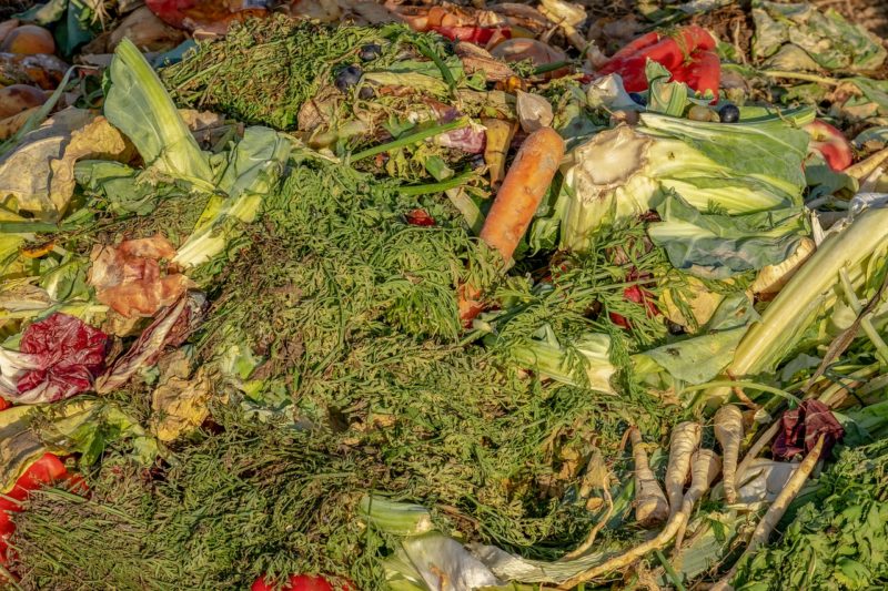 Turn These 7 Household Wastes Into Healthy Compost for Your Garden