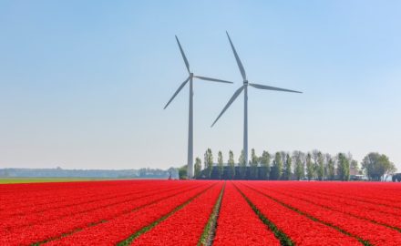 9 Things To Look For In A Renewable Energy Provider