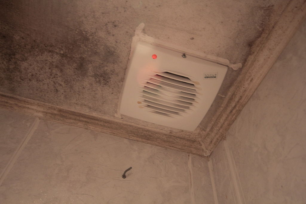 How to Safely Remove Light Mold From Your Bathroom Ceilings ...