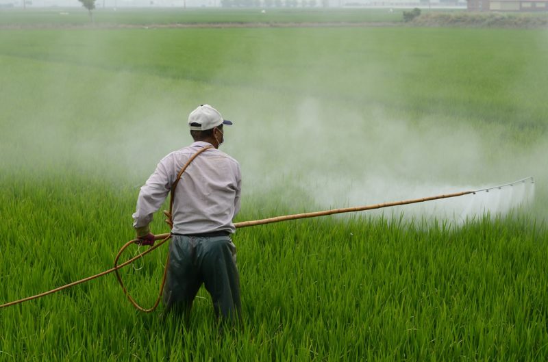 Paraquat and Glyphosate: Dangers of the Two Most Common Herbicides