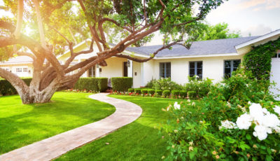 Tree Care, Lawn Maintenance, And Landscaping: How To Do It Right