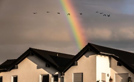 Building Your New Home? How to Make Sure It Will Be Protected From the Elements