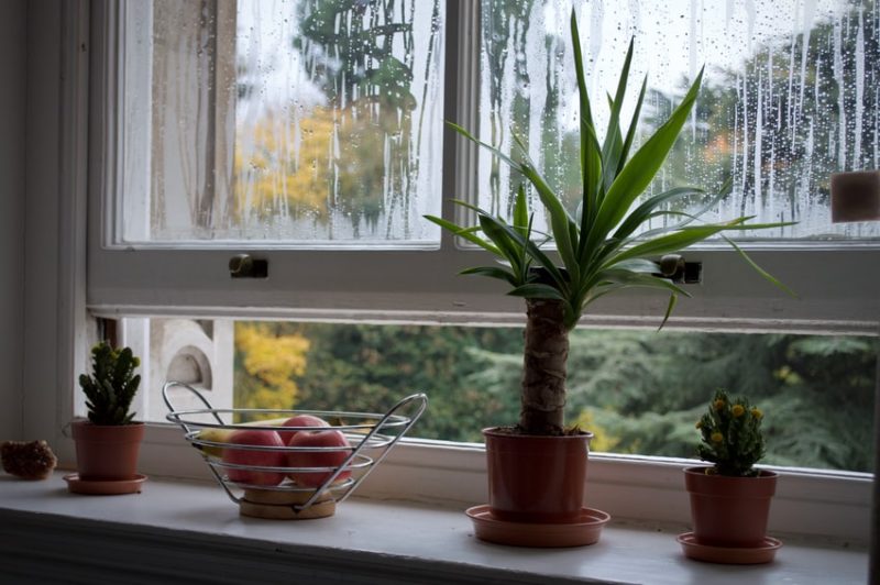 Easy Ways To Improve The Quality Of Indoor Air