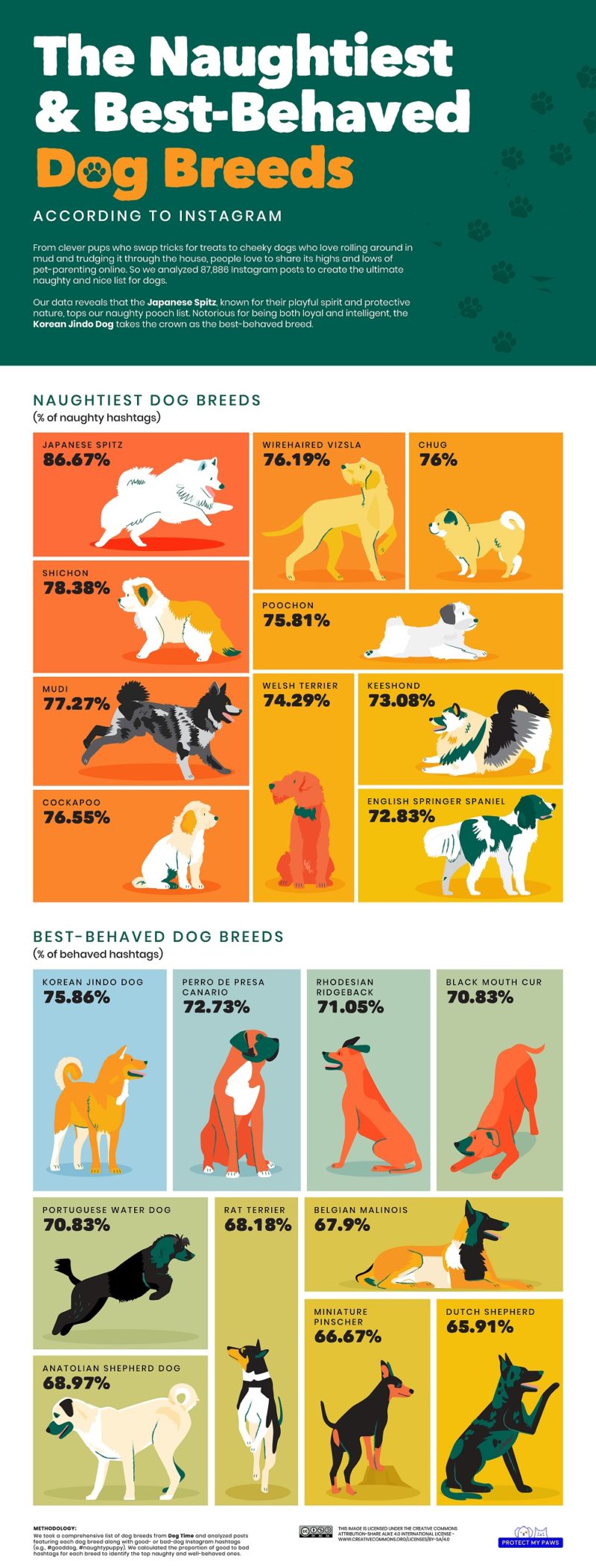 New Research Reveals the World’s Best Behaved Dog Breeds