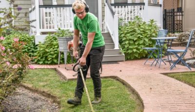 How to Make Your Landscaping Company Successful