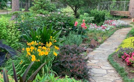 10 Simple Landscape Tips to Make Your Home More Attractive and Increase Its Value