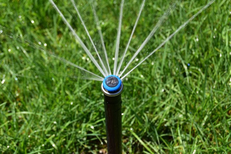 Tips for a Proper Garden Watering