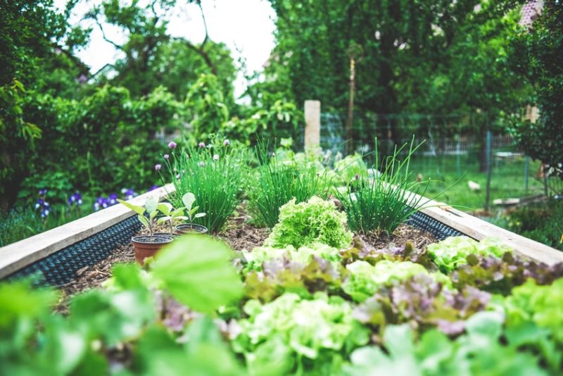 Green Ways to Make Your Home More Self-Sufficient