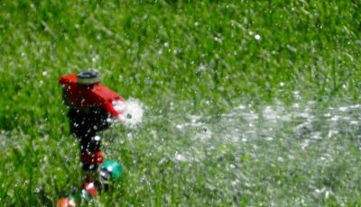Tips for a Proper Garden Watering