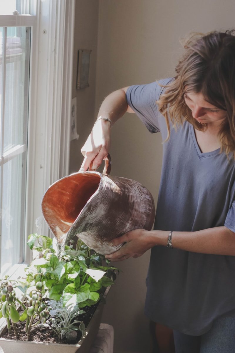 How to Start an Indoor Garden in your Home