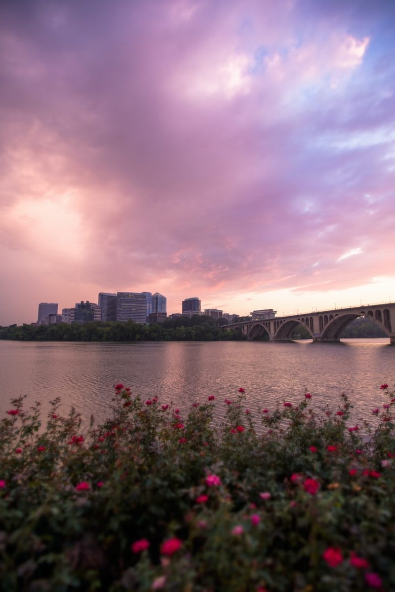 Best Neighborhoods To Move Near the Potomac River