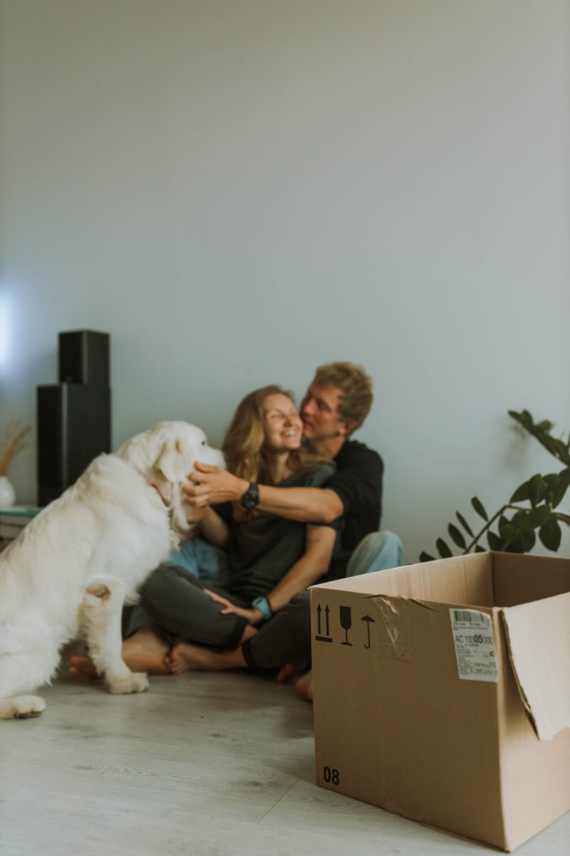 Important Rules Follow When Moving With Pets