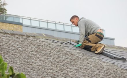 What Can a Roofing Professional Do for You?