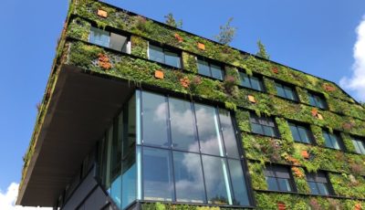 Sustainability And Commercial Property: 5 Key Approaches