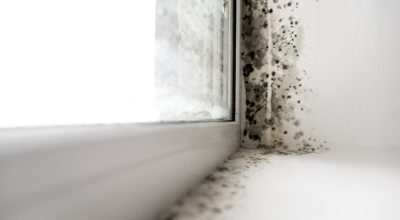 8 Ways To Reduce Condensation In Your Home