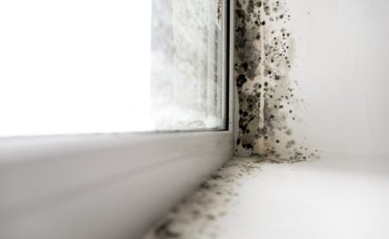 8 Ways To Reduce Condensation In Your Home