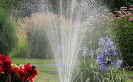 Ideas for How to Keep Your Lawn Beautiful in the Summer Heat