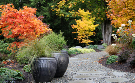 Landscaping Improvements You Can Make During the Fall